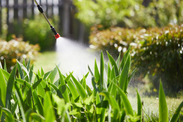 24/7 Emergency Wasp Removal experts in National City, CA