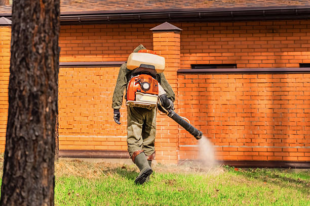 Top rated local Wasp Removal specialists in National City, CA